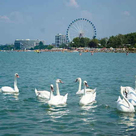 In - Balaton 51864 Σπίτι διακοπών Σίοφοκ