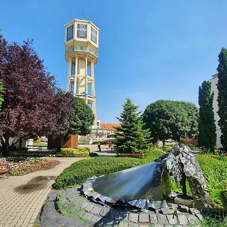 In - Balaton 51864 *