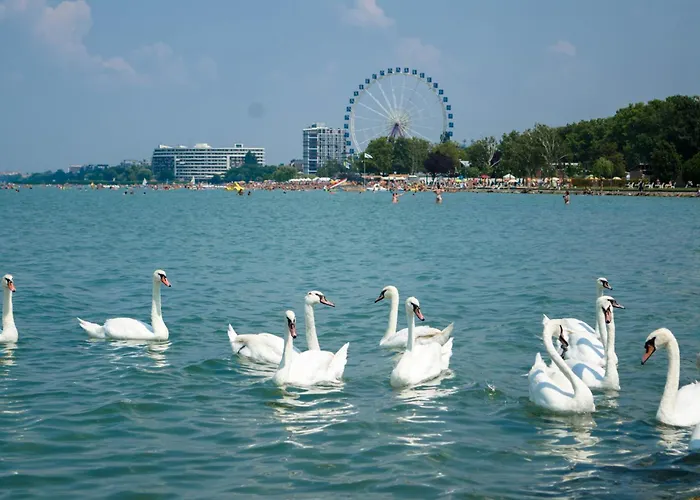 In - Balaton 51864 Σπίτι διακοπών Σίοφοκ